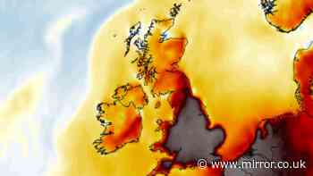 Met Office and BBC issue heatwave verdicts as UK weather maps show 38C surge