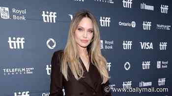 Angelina Jolie among Hollywood stars hit by 'huge data breach after contact details exposed', cybersecurity expert claims