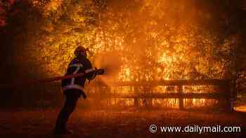 'We're ready for anything': Bordeaux braces itself for blazes as wildfires rage across France and Spain - with more than 300,000 evacuated