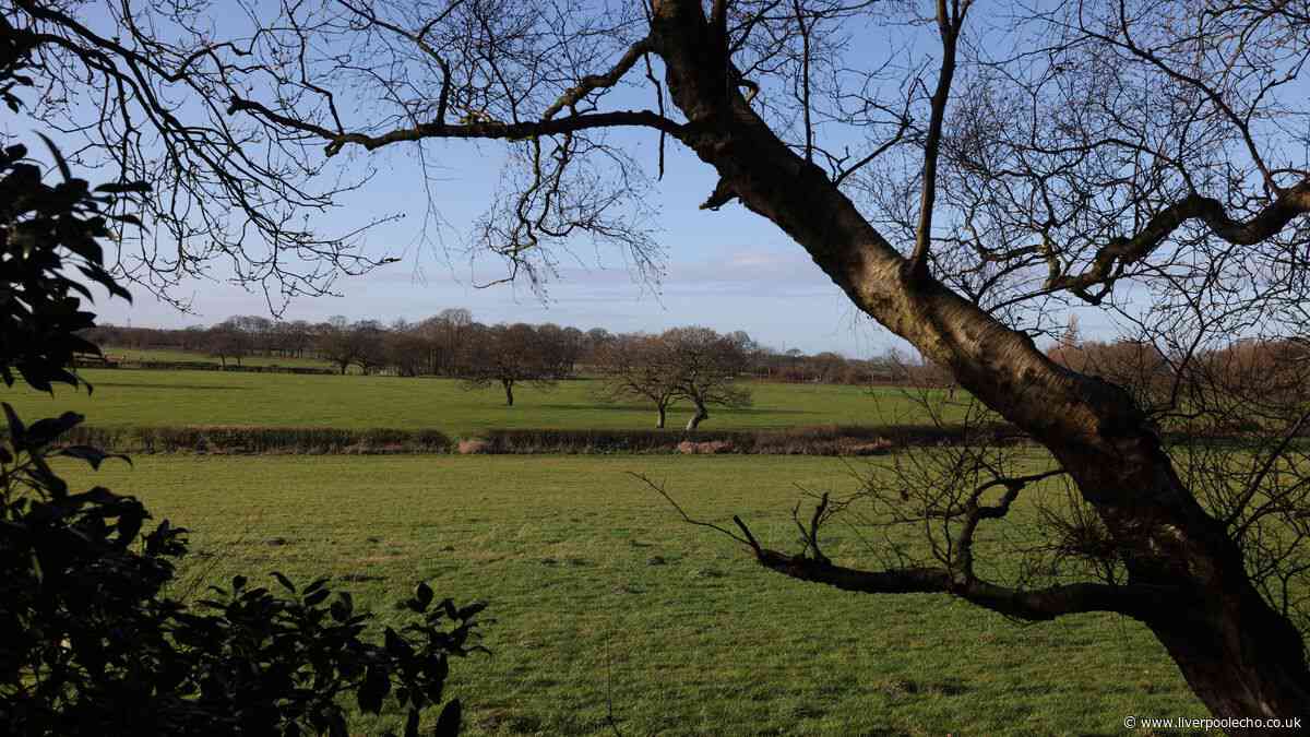 How safe is Wirral's green belt?