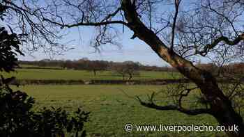 How safe is Wirral's green belt?