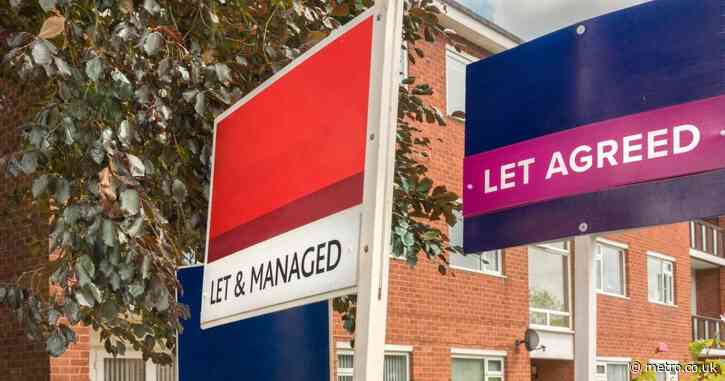 Landlords have been lying but renters are the ones paying for it