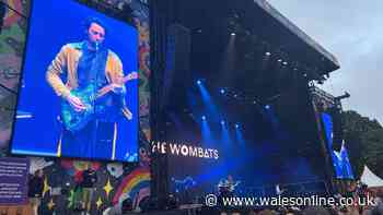 Depot Live review as Cardiff Castle one-day festival provides nostalgia shot