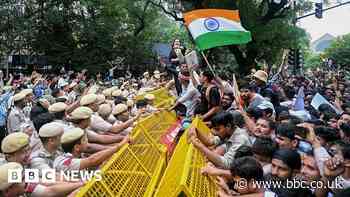 Why have thousands taken to the streets? India's 'cockroach' protest explained