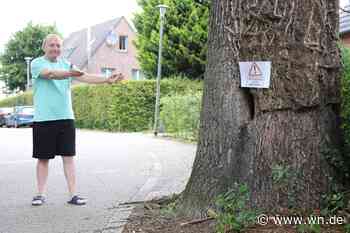 Ist das gefährlich? Hornissennest an der Schlautstiege