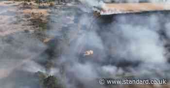 Dramatic video shows wildfires raging in east London as flames destroy 10 acres of grassland