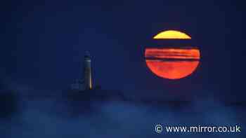 How to see July's full Buck Moon in the UK as it rises on Wednesday