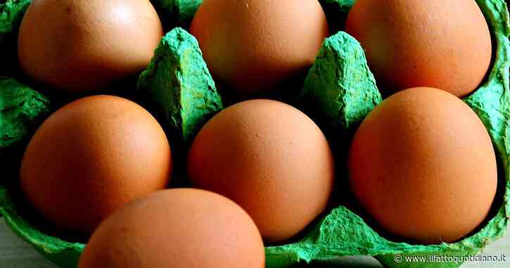 “Rischio salmonella, non mangiatele:”: lotto di uova fresche vendute a marchio Aia e Selex ritirate dal mercato, ecco i supermercati coinvolti