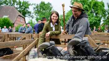 Niedersachsens Agrarministerin zum leichteren Wolfsabschuss: „Bin wirklich fein damit“