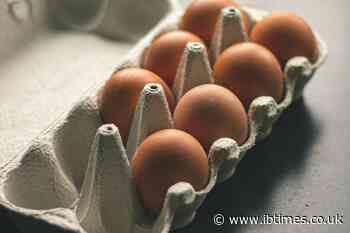 Check Your Fridge NOW: Nearly 20 Million Eggs Pulled From Stores Over Dangerous Salmonella Risk Linked to Texas Farms