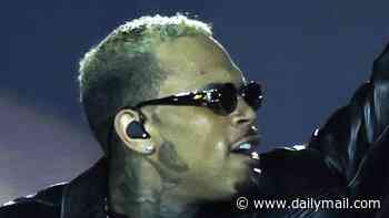 Chris Brown returns to the stage for raunchy show in Nashville hours after pleading guilty to attacking music producer in a Mayfair nightclub