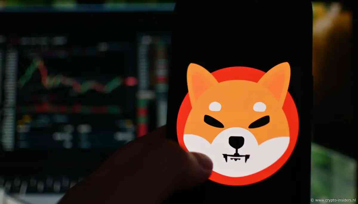 Shiba Inu na koersrally populairder dan XRP onder Nederlandse beleggers
