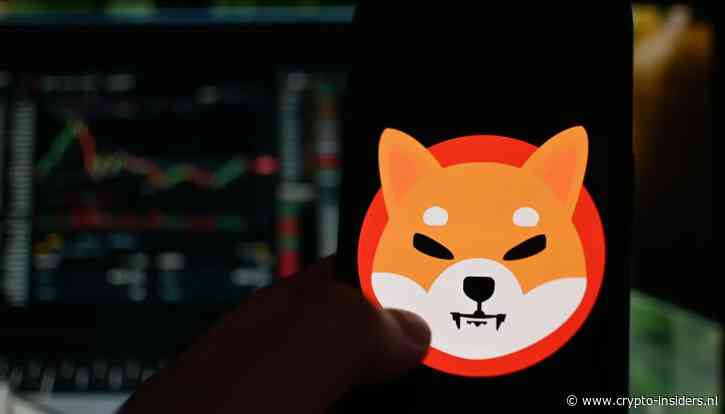 Shiba Inu na koersrally populairder dan XRP onder Nederlandse beleggers