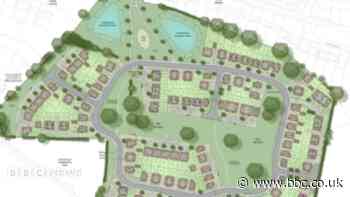 Plans for 166 homes approved despite opposition