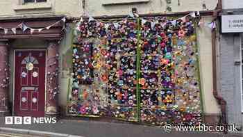 The knitted floral displays taking over a town, one stitch at a time