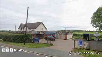 Dog put down following kennels stay