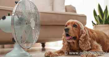 De hitte eiste z’n tol, in mijn geval door de ventilator