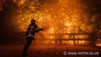 Europe wildfires horror laid bare as 300,000 evacuated across multiple countries with Brits warned 'stay away'