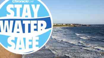 New drowning prevention strategy released - how it can help you Stay Water Safe