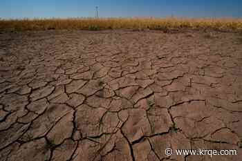 'Mini Dust Bowl' could be forming in the US, expert warns. Will El Niño make it worse?