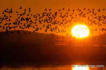 How often the sun would rise after 8 a.m. under permanent daylight saving time