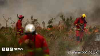 Firefighters battle wildfire as tens of thousands evacuated near Bordeaux