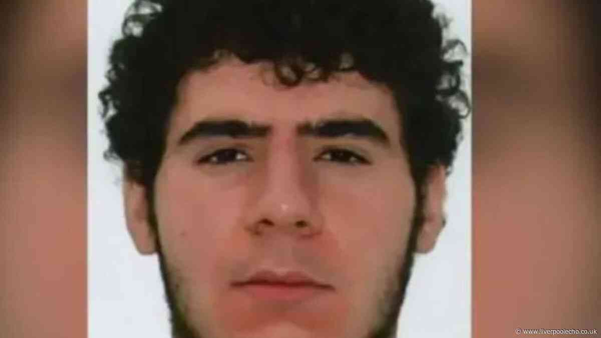 Berlin Pride attack suspect killed in police operation
