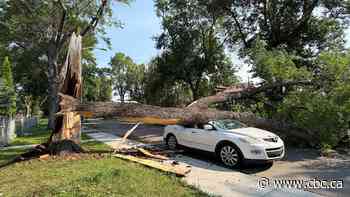 Several roads reopen in Edmonton after thunderstorm, high winds