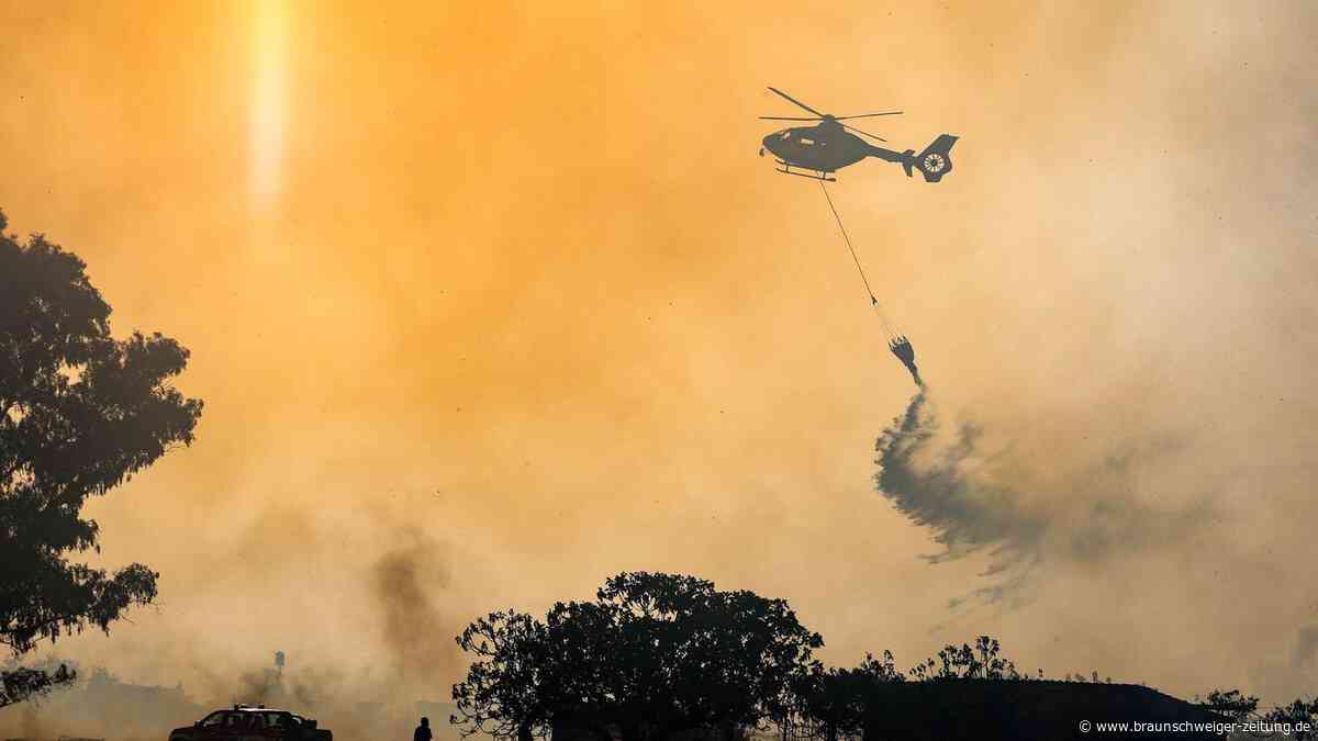 Italien kämpft gegen Waldbrände: Mehrere Feuer treffen Urlauber hart