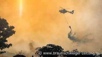 Italien kämpft gegen Waldbrände: Mehrere Feuer treffen Urlauber hart