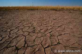 'Mini Dust Bowl' could be forming in the US, expert warns. Will El Niño make it worse?
