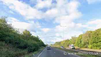 Four dead including baby after Derbyshire crash as driver arrested
