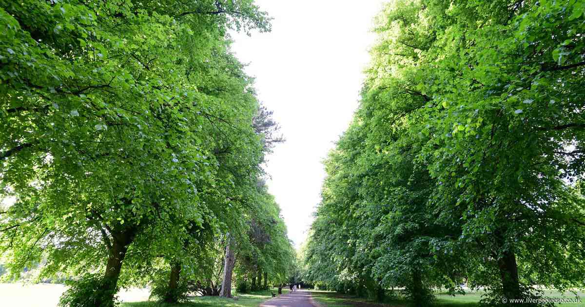 20 free things to do with the kids in and around Merseyside during the summer holidays