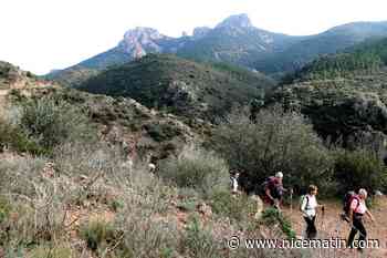 Le massif Esterel-Tanneron fermé ce lundi en raison d’un risque d’incendie très sévère