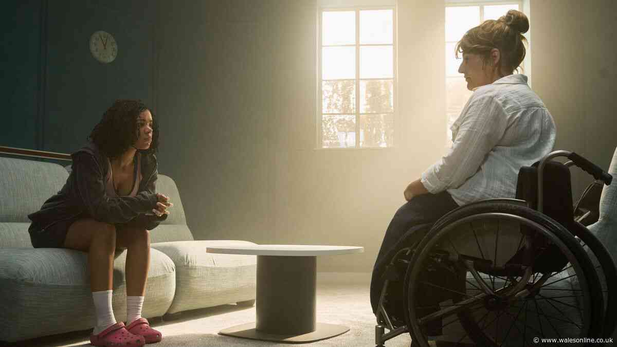 What is the plot of BBC's The Rapture and is it based on a book?