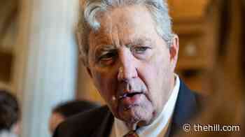 Sen. Kennedy says Trump likes daily strikes on Iran: 'Sometimes you have to kill a few chickens to scare the monkeys'