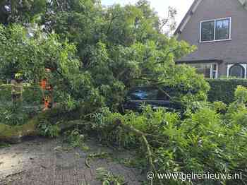 Brandweer druk met stormschades