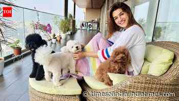 Inside Kriti Sanon's duplex sea-facing penthouse worth Rs 78 crore