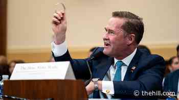 Waltz blames Biden for depleted stockpiles, but says US military has 'everything that it needs'