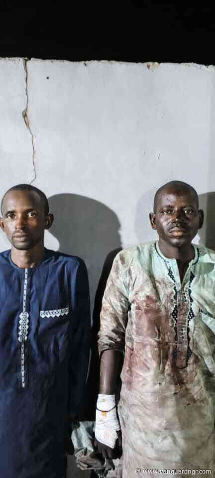 Troops arrest two suspected terrorist informants, cattle rustlers, in Yobe market