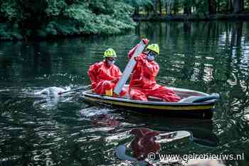 Brandweer haalt overleden zwaan uit vijver