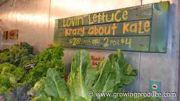 Who Holds the Pricing Power for the Vegetable Market?