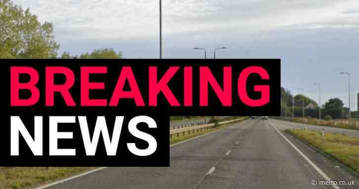 Baby girl among four killed after car smashes into trees in Derby