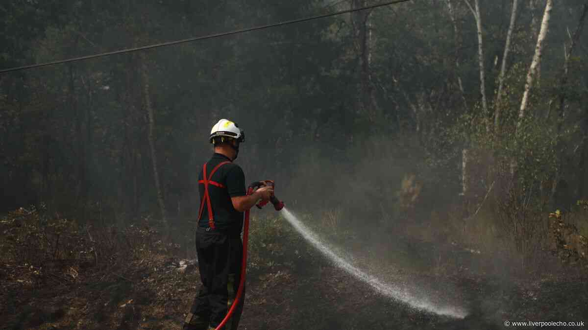 Foreign Office guidance updated for Spain and France as wildfires continue to rage