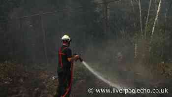 Foreign Office guidance updated for Spain and France as wildfires continue to rage