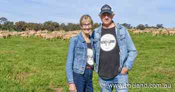 Price takers to price makers: split lambing three times a year builds a business
