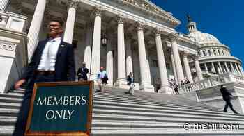 House Republicans look to silver linings for midterm playbook as they embark on recess