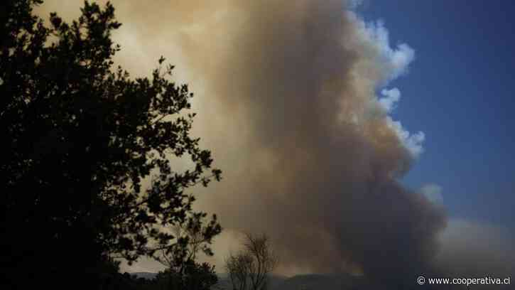 España: 77 mil hectáreas quemadas en el mayor incendio de su historia