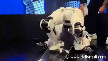 Moment robot hilariously collapses mid-presentation... before being covered up like a corpse