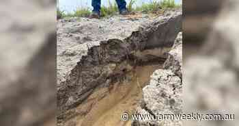 Wind-affected Mid West farmers come together in search of sandy solutions